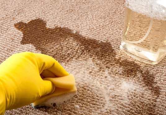 CarpetCare | Flooring and More