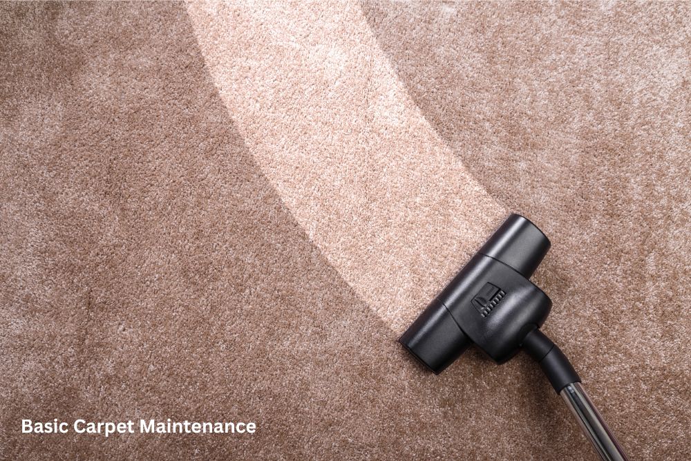 Carpet floor cleaning | Flooring and More