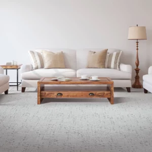 Family Room Carpet Flooring | Flooring And More