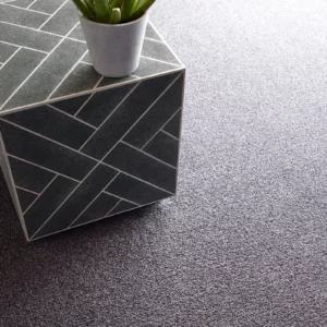 Carpet Flooring | Flooring And More