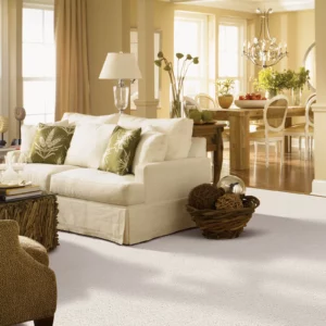 Living Area Carpet Flooring | Flooring And More