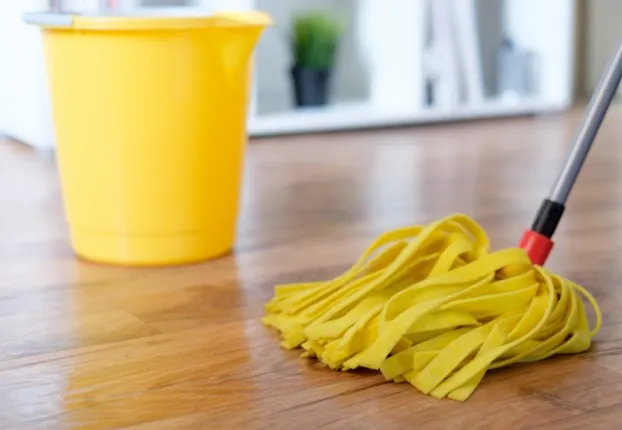 Laminate Daily Care | Flooring And More