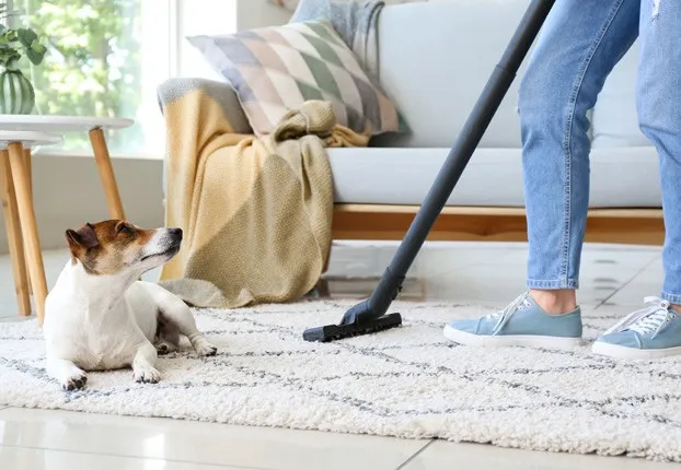 Area Rug Daily Cleaning | Flooring And More